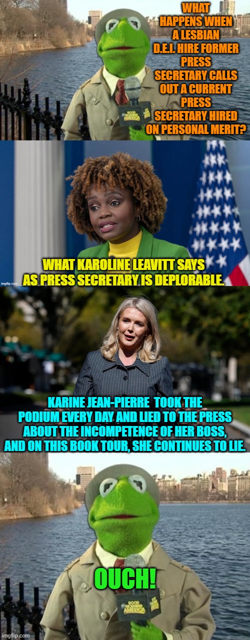 Now that's going to leave a mark. | WHAT HAPPENS WHEN A LESBIAN D.E.I. HIRE FORMER PRESS SECRETARY CALLS OUT A CURRENT PRESS SECRETARY HIRED ON PERSONAL MERIT? WHAT KAROLINE LEAVITT SAYS AS PRESS SECRETARY IS DEPLORABLE. KARINE JEAN-PIERRE  TOOK THE PODIUM EVERY DAY AND LIED TO THE PRESS ABOUT THE INCOMPETENCE OF HER BOSS, AND ON THIS BOOK TOUR, SHE CONTINUES TO LIE. OUCH! | image tagged in kermit news report | made w/ Imgflip meme maker