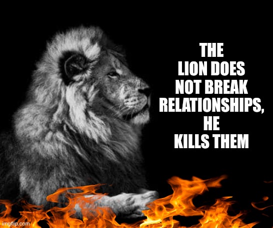 The lion | THE LION DOES NOT BREAK RELATIONSHIPS, HE KILLS THEM | image tagged in the lion | made w/ Imgflip meme maker