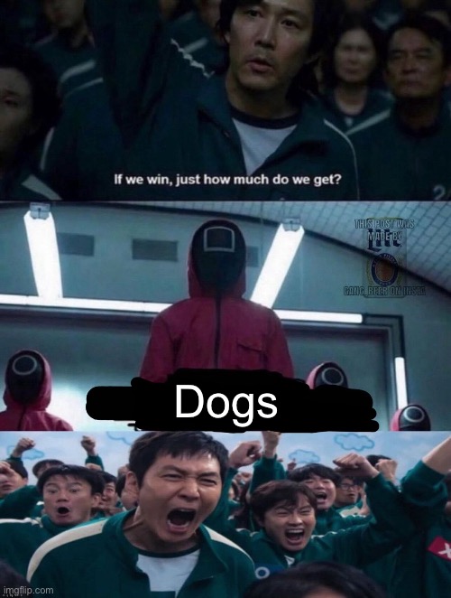 If we win, just how much do we get? blank | Dogs | image tagged in if we win just how much do we get blank | made w/ Imgflip meme maker