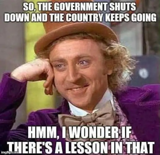 Government Shut Down | image tagged in government,government shutdown,lesson | made w/ Imgflip meme maker
