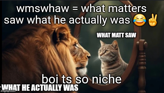 good morning | wmswhaw = what matters saw what he actually was 😂✌️; boi ts so niche | image tagged in meme non submissum | made w/ Imgflip meme maker