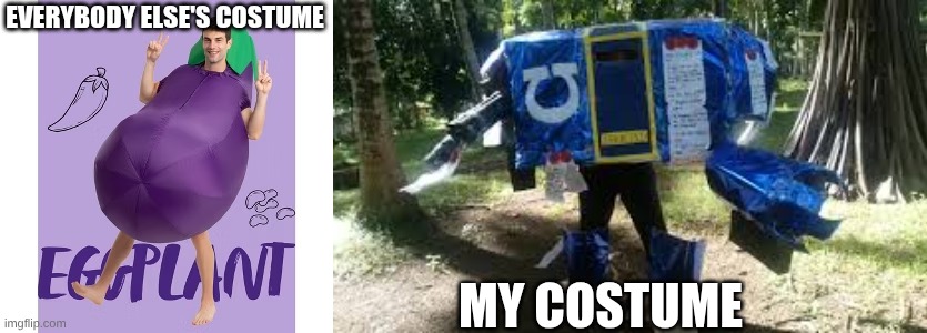 EVERYBODY ELSE'S COSTUME; MY COSTUME | made w/ Imgflip meme maker