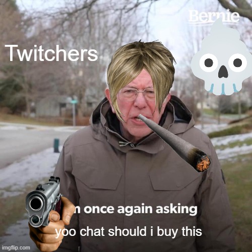 Bernie I Am Once Again Asking For Your Support | Twitchers; yoo chat should i buy this | image tagged in memes,bernie i am once again asking for your support | made w/ Imgflip meme maker