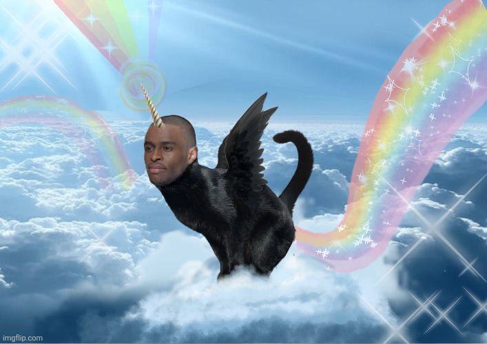 Freedom. | image tagged in memes | made w/ Imgflip meme maker