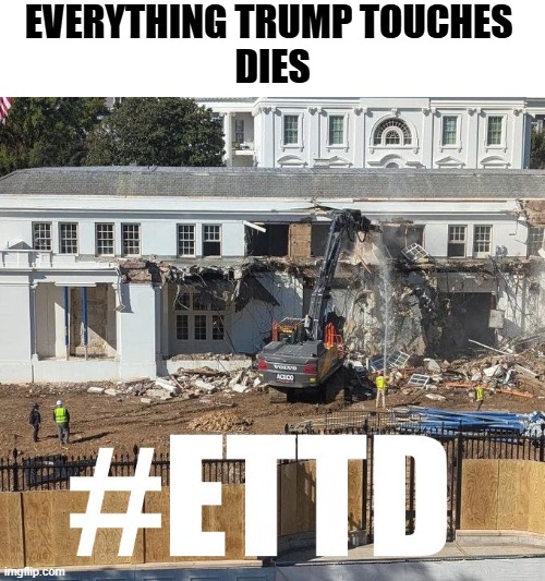 The longer we pretend he's sane, the worse it will be for America. | EVERYTHING TRUMP TOUCHES 
DIES | image tagged in everything trump touches dies white house east wing destruction | made w/ Imgflip meme maker
