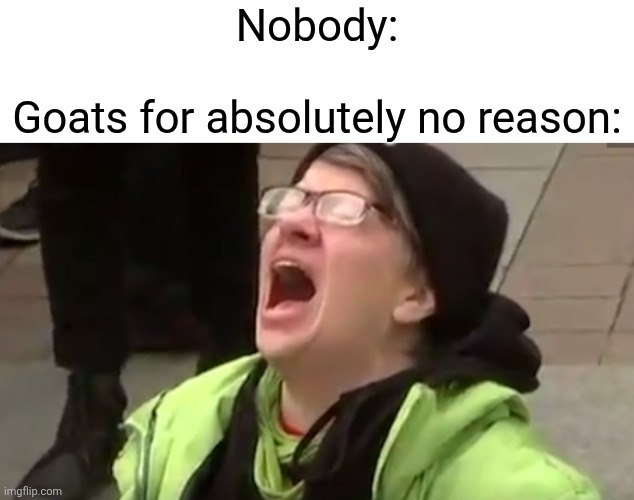 Mine do this | Nobody:
 
Goats for absolutely no reason: | image tagged in screaming liberal,goat,annoying,memes,relatable | made w/ Imgflip meme maker