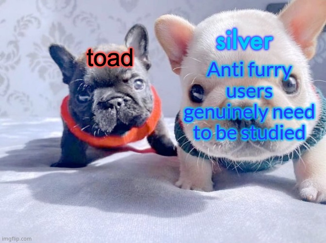 silver and toad's announcement temp | Anti furry users genuinely need to be studied | image tagged in silver and toad's announcement temp | made w/ Imgflip meme maker