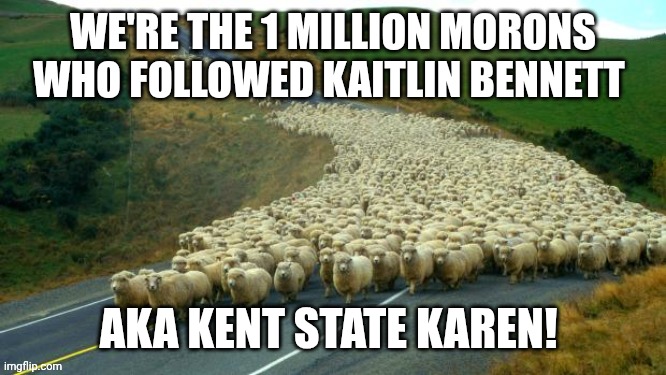 Kent State Karen Cultists | WE'RE THE 1 MILLION MORONS WHO FOLLOWED KAITLIN BENNETT; AKA KENT STATE KAREN! | image tagged in sheep | made w/ Imgflip meme maker
