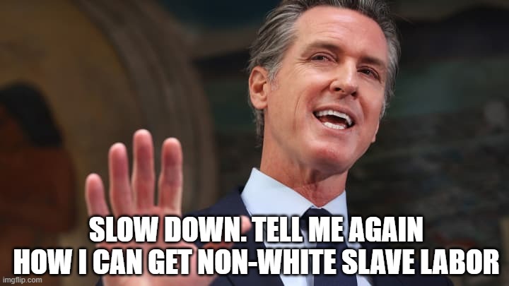 California Nazi/Governor Gavin Newsom | SLOW DOWN. TELL ME AGAIN HOW I CAN GET NON-WHITE SLAVE LABOR | image tagged in california nazi/governor gavin newsom | made w/ Imgflip meme maker