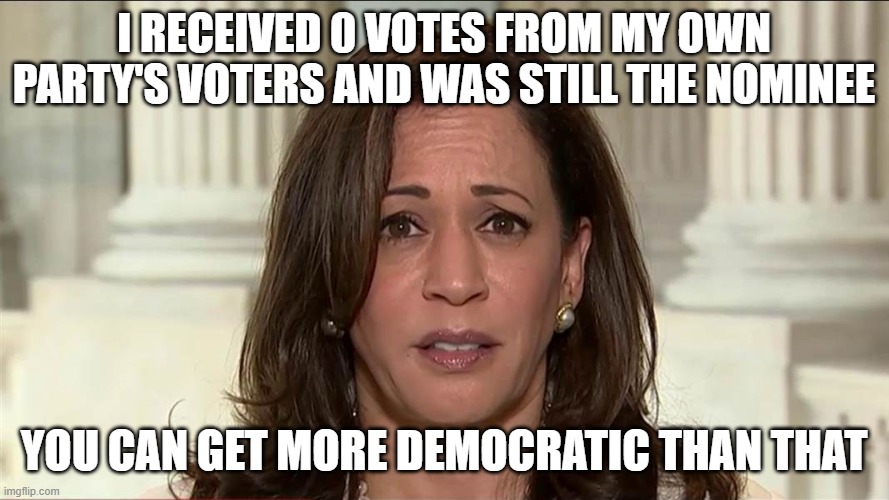 kamala harris | I RECEIVED 0 VOTES FROM MY OWN PARTY'S VOTERS AND WAS STILL THE NOMINEE YOU CAN GET MORE DEMOCRATIC THAN THAT | image tagged in kamala harris | made w/ Imgflip meme maker