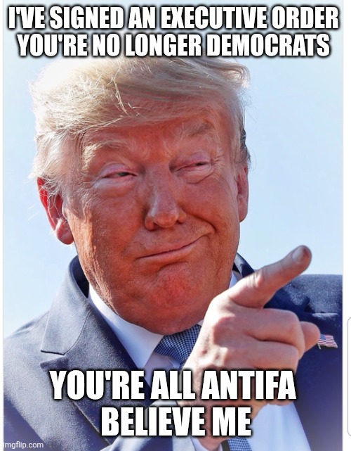 Trump pointing | I'VE SIGNED AN EXECUTIVE ORDER 

YOU'RE NO LONGER DEMOCRATS YOU'RE ALL ANTIFA 
BELIEVE ME | image tagged in trump pointing | made w/ Imgflip meme maker
