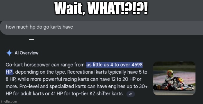 The trippin' is wild with this one | Wait, WHAT!?!?! | image tagged in memes,stupid,google ai | made w/ Imgflip meme maker
