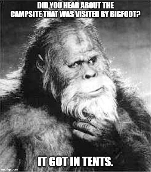 Daily Bad Dad Jokes October 22, 2025 | DID YOU HEAR ABOUT THE CAMPSITE THAT WAS VISITED BY BIGFOOT? IT GOT IN TENTS. | image tagged in bigfoot | made w/ Imgflip meme maker