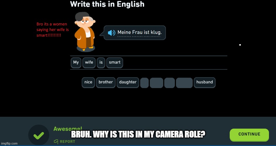 WHY | BRUH. WHY IS THIS IN MY CAMERA ROLE? | image tagged in duolingo,funny | made w/ Imgflip meme maker