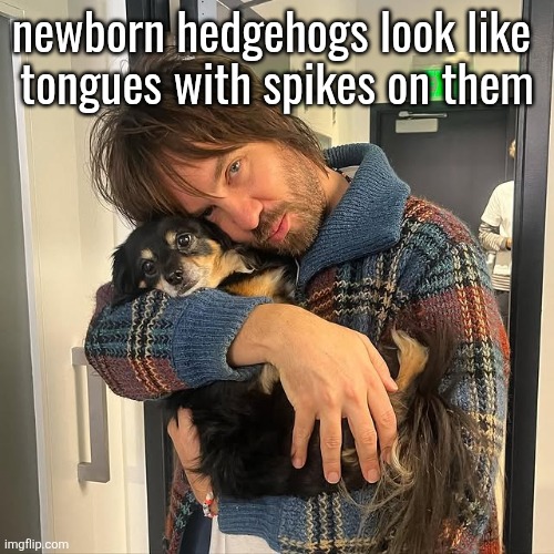 Kevin Parker hugging puppy | newborn hedgehogs look like 
tongues with spikes on them | image tagged in kevin parker hugging puppy | made w/ Imgflip meme maker