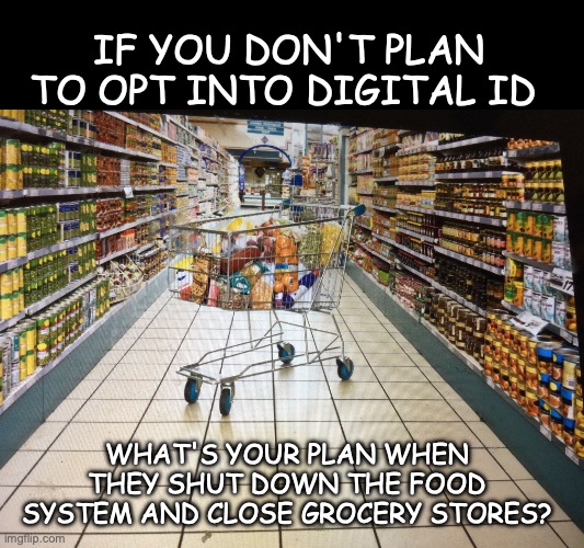 Grocery cart in aisle | IF YOU DON'T PLAN TO OPT INTO DIGITAL ID; WHAT'S YOUR PLAN WHEN THEY SHUT DOWN THE FOOD SYSTEM AND CLOSE GROCERY STORES? | image tagged in grocery cart in aisle | made w/ Imgflip meme maker