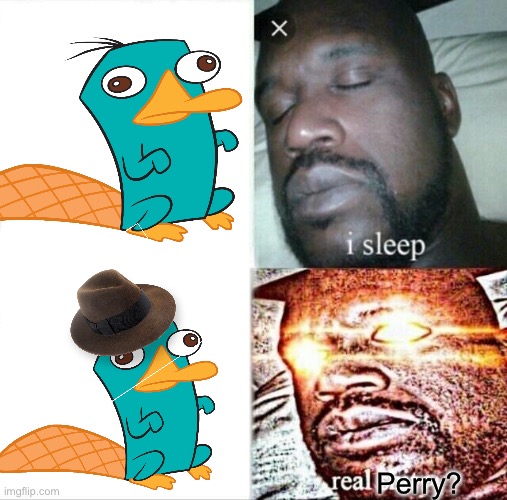 Perry? | image tagged in memes,sleeping shaq | made w/ Imgflip meme maker