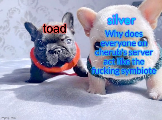 Pretty much identical opinions on users here and they all type similarly | Why does everyone on cherub's server act like the fucking symbiote | image tagged in silver and toad's announcement temp | made w/ Imgflip meme maker