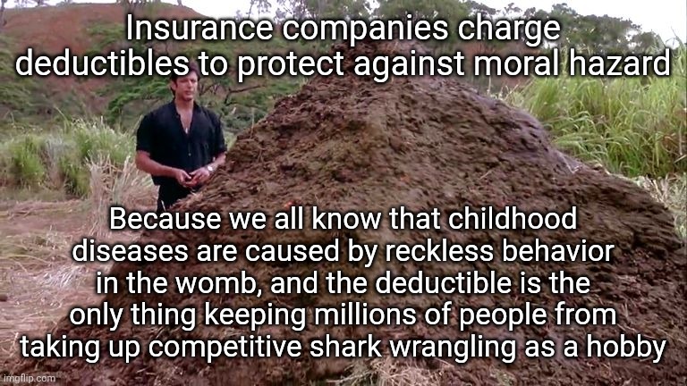 Great American Ripoff | Insurance companies charge deductibles to protect against moral hazard; Because we all know that childhood diseases are caused by reckless behavior in the womb, and the deductible is the only thing keeping millions of people from taking up competitive shark wrangling as a hobby | image tagged in big pile of bullshit | made w/ Imgflip meme maker