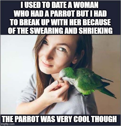 They Can Be A Bit Of A Nightmare ! | I USED TO DATE A WOMAN 
WHO HAD A PARROT BUT I HAD TO BREAK UP WITH HER BECAUSE OF THE SWEARING AND SHRIEKING; THE PARROT WAS VERY COOL THOUGH | image tagged in dating,parrot,swearing | made w/ Imgflip meme maker