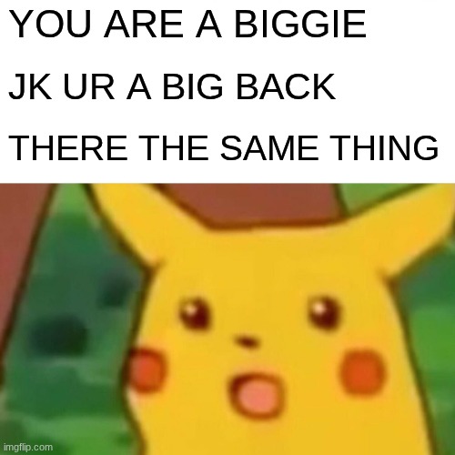 Surprised Pikachu Meme | YOU ARE A BIGGIE; JK UR A BIG BACK; THERE THE SAME THING | image tagged in memes,surprised pikachu | made w/ Imgflip meme maker