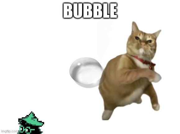 throwing cat new | BUBBLE | image tagged in throwing cat new | made w/ Imgflip meme maker