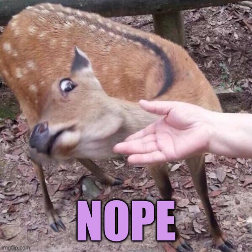 nope | NOPE | image tagged in nope | made w/ Imgflip meme maker