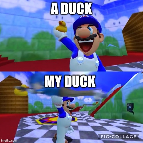 smg4's duck got stolen | A DUCK; MY DUCK | image tagged in smg4 holding up a duck | made w/ Imgflip meme maker