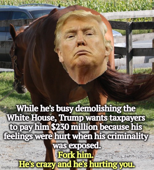 Trump is crazy, and he's trying to pick your pocket. | While he's busy demolishing the 
White House, Trump wants taxpayers 
to pay him $230 million because his 
feelings were hurt when his criminality 
was exposed. Fork him. 
He's crazy and he's hurting you. | image tagged in donald trump the horse's ass,trump,crazy,taxes,horse,fool | made w/ Imgflip meme maker