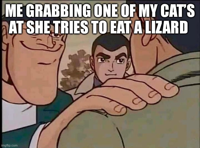 Reassuring | ME GRABBING ONE OF MY CAT’S AT SHE TRIES TO EAT A LIZARD | image tagged in reassuring | made w/ Imgflip meme maker