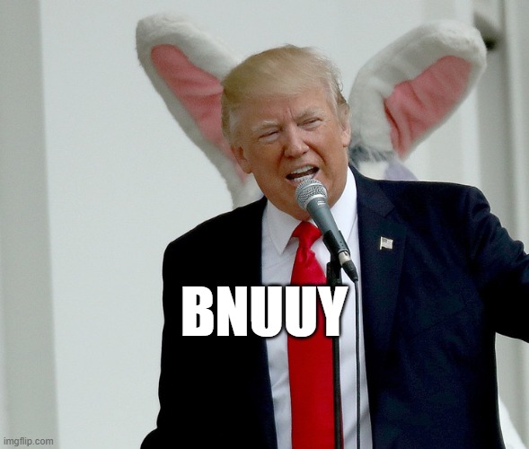 fwuffy bnuuy :3 | BNUUY | image tagged in bnuuy,bunny,rabbit | made w/ Imgflip meme maker