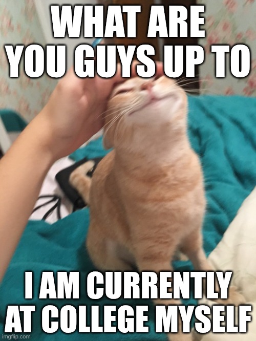 I'm just cool like that (I'm not) | WHAT ARE YOU GUYS UP TO; I AM CURRENTLY AT COLLEGE MYSELF | image tagged in cat pat | made w/ Imgflip meme maker
