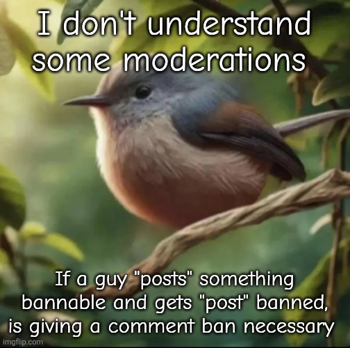 I'm cunfused | I don't understand some moderations; If a guy "posts" something bannable and gets "post" banned, is giving a comment ban necessary | image tagged in no balls | made w/ Imgflip meme maker