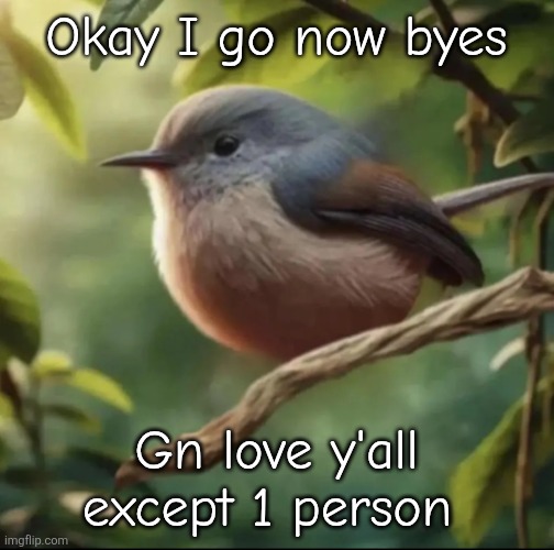 No balls | Okay I go now byes; Gn love y'all except 1 person | image tagged in no balls | made w/ Imgflip meme maker