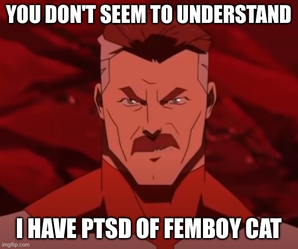 Yo facts, facts | YOU DON'T SEEM TO UNDERSTAND; I HAVE PTSD OF FEMBOY CAT | image tagged in you don't seem to understand | made w/ Imgflip meme maker
