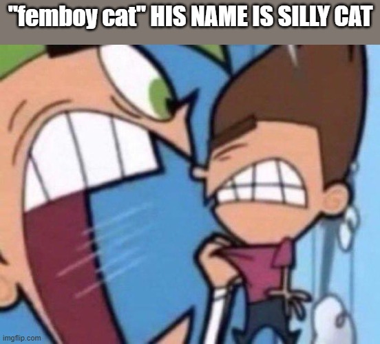 Cosmo yelling at timmy | "femboy cat" HIS NAME IS SILLY CAT | image tagged in cosmo yelling at timmy | made w/ Imgflip meme maker