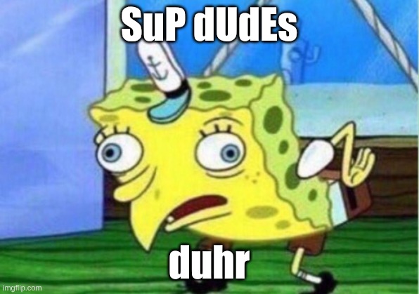 idk random sh*t I guess | SuP dUdEs; duhr | image tagged in memes,mocking spongebob | made w/ Imgflip meme maker