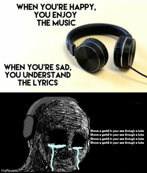 When your sad you understand the lyrics | Shove a gerbil in your ass through a tube
Shove a gerbil in your ass through a tube
Shove a gerbil in your ass through a tube
Shove a gerbil in your ass through a tube | image tagged in when your sad you understand the lyrics | made w/ Imgflip meme maker