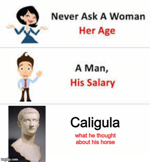 There Are No Words | Caligula; what he thought about his horse | image tagged in never ask a woman her age | made w/ Imgflip meme maker