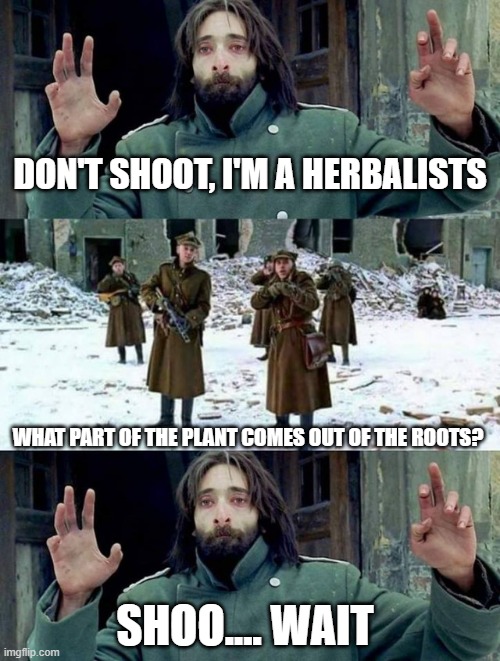 Trick Question | DON'T SHOOT, I'M A HERBALISTS; WHAT PART OF THE PLANT COMES OUT OF THE ROOTS? SHOO.... WAIT | image tagged in no disparen/ dont shoot | made w/ Imgflip meme maker