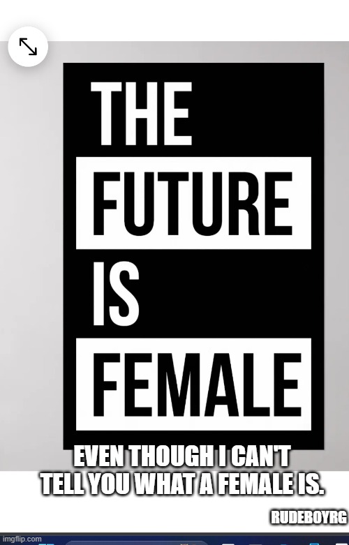 The Future Is Female But what is a female? | EVEN THOUGH I CAN'T TELL YOU WHAT A FEMALE IS. RUDEBOYRG | image tagged in the future is female,what is a female | made w/ Imgflip meme maker