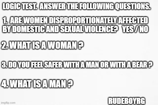 Gender Logic Test. | LOGIC TEST.  ANSWER THE FOLLOWING QUESTIONS. 1.  ARE WOMEN DISPROPORTIONATELY AFFECTED BY DOMESTIC AND SEXUAL VIOLENCE?   YES / NO; 2. WHAT IS A WOMAN ? 3. DO YOU FEEL SAFER WITH A MAN OR WITH A BEAR ? 4. WHAT IS A MAN ? RUDEBOYRG | image tagged in gender logic test,what is a woman,what is a man | made w/ Imgflip meme maker