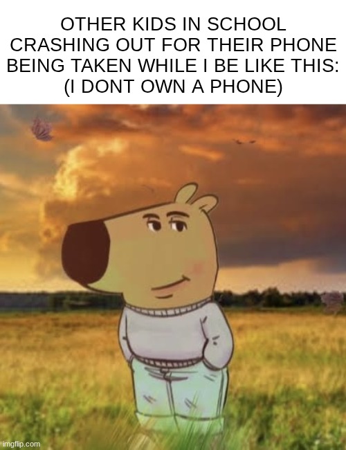 I mean I DO, I just..leave it at home | OTHER KIDS IN SCHOOL CRASHING OUT FOR THEIR PHONE BEING TAKEN WHILE I BE LIKE THIS:
(I DONT OWN A PHONE) | image tagged in chill guy,memes,school | made w/ Imgflip meme maker