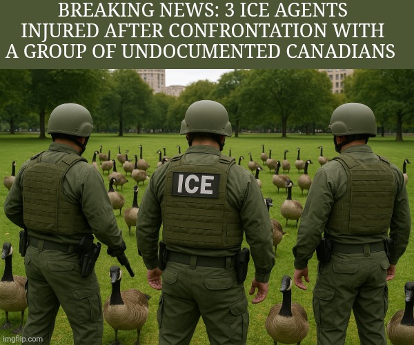 ICE vs. Cobra Chickens | BREAKING NEWS: 3 ICE AGENTS INJURED AFTER CONFRONTATION WITH A GROUP OF UNDOCUMENTED CANADIANS | image tagged in immigrants,ice,canada,geese,deportation,usa | made w/ Imgflip meme maker