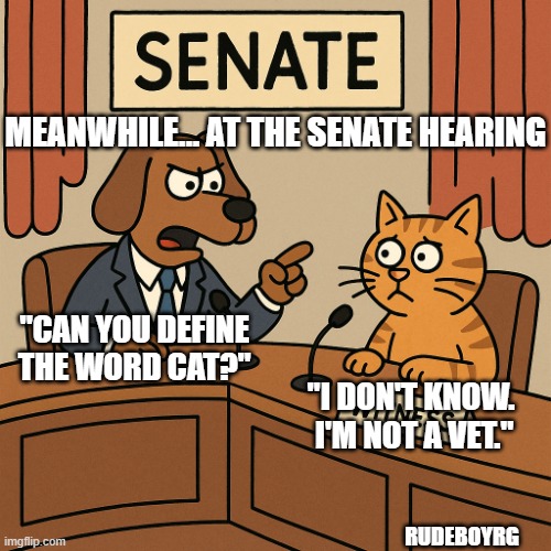 Define Woman | MEANWHILE... AT THE SENATE HEARING; "CAN YOU DEFINE THE WORD CAT?"; "I DON'T KNOW.  I'M NOT A VET."; RUDEBOYRG | image tagged in define the word woman,what is a woman,senate hearing,politics,cat parody,dog parody | made w/ Imgflip meme maker