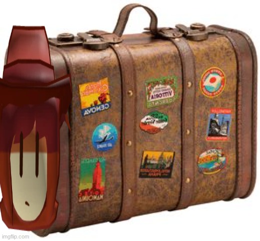 suitcase | image tagged in suitcase | made w/ Imgflip meme maker