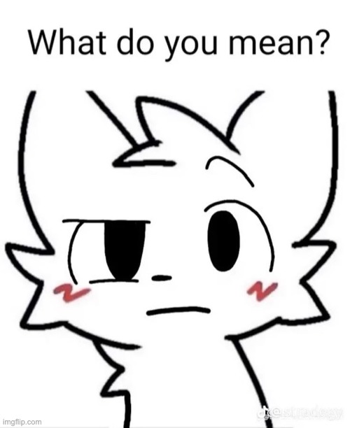 What do you mean? | image tagged in what do you mean | made w/ Imgflip meme maker