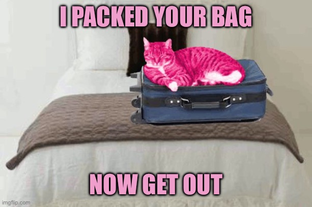 RayCat kicks you to the curb | I PACKED YOUR BAG; NOW GET OUT | image tagged in raycat kicks to the curb | made w/ Imgflip meme maker
