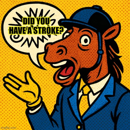Horseman rambling about nonsense | DID YOU HAVE A STROKE? | image tagged in horseman rambling about nonsense | made w/ Imgflip meme maker