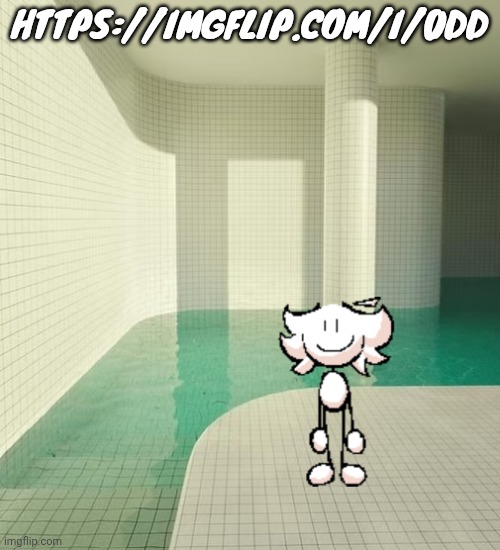 skrunkly poolrooms | HTTPS://IMGFLIP.COM/I/0DD | image tagged in skrunkly poolrooms | made w/ Imgflip meme maker